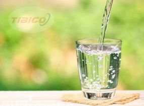 8 thức uống tốt cho Phổi giúp tăng cường hệ miễn dịch
